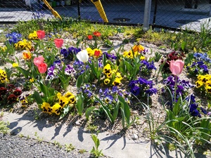 IMG_20140424_094141.jpg